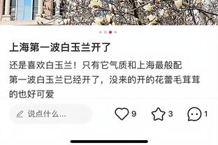 开云app官网手机版入口截图0